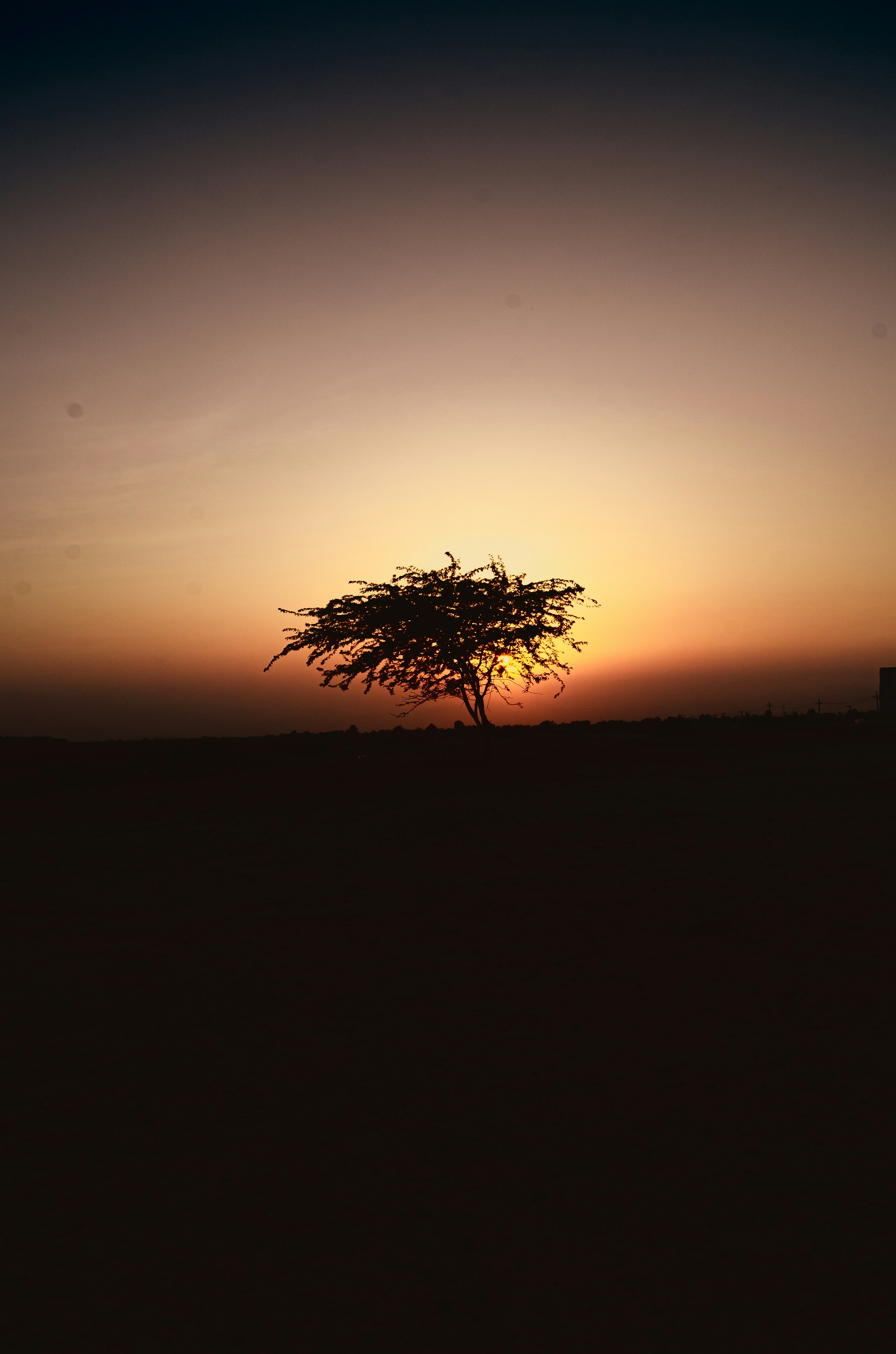 Mourning Sunset